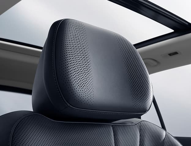 Headrest Speakers
